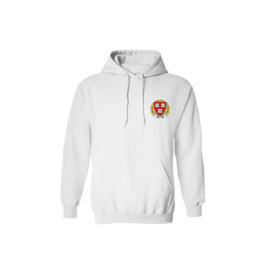 ODM Service Custom University Hoodie with Embroidery Logos in S/M/L/XL Sizes